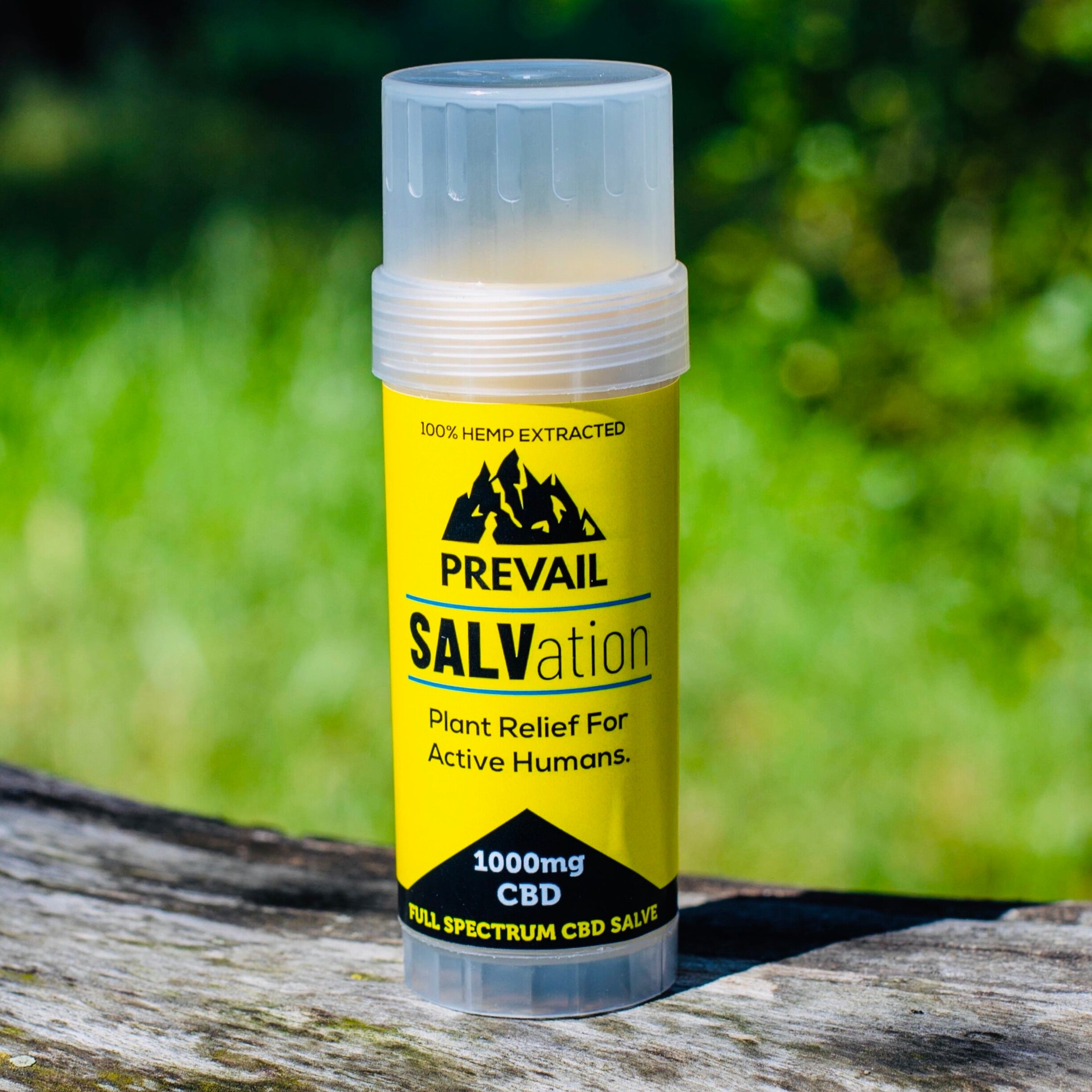 1000mg-Full-Spectrum-CBD-Salve.jpg